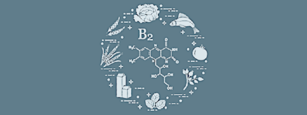 Riboflavine voor de darmflora