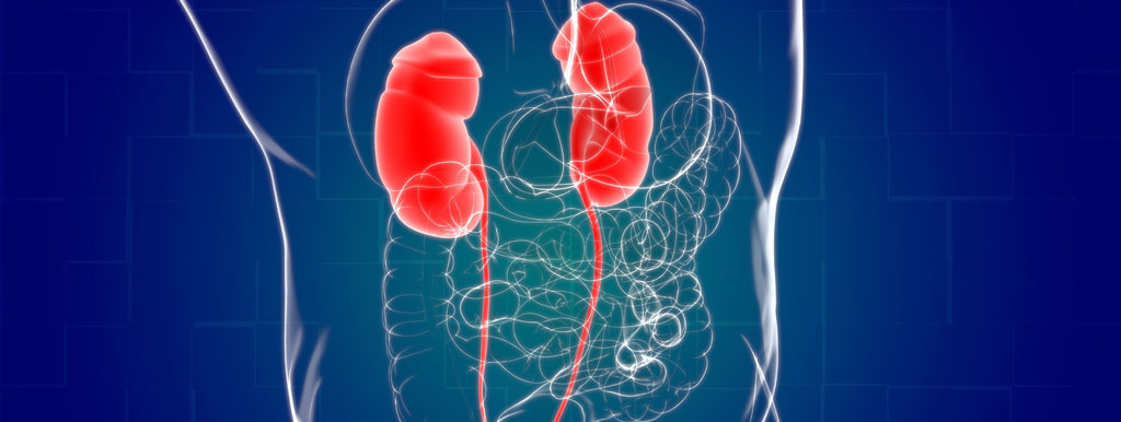 Nierziekte via de darmen