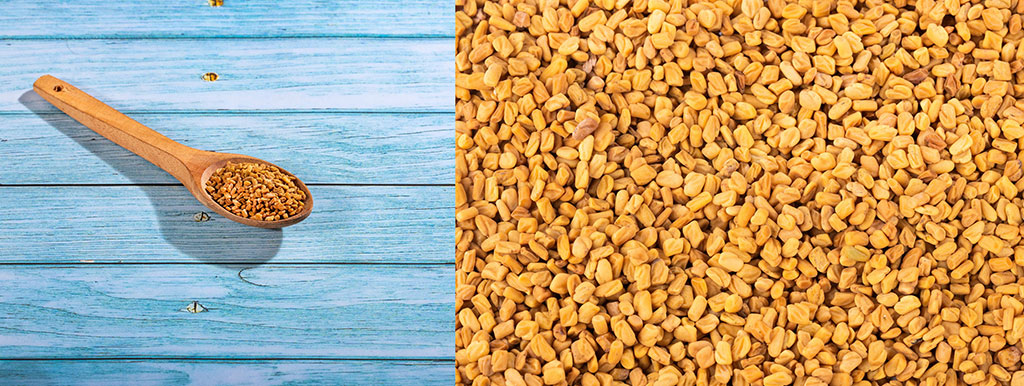 Best antidiabetic probiotic