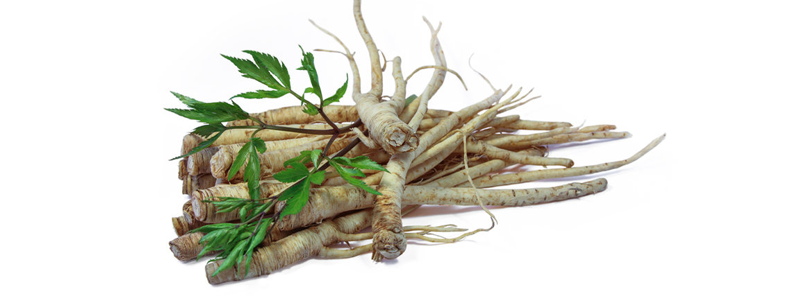 Effect ginseng op cardiometabolisme