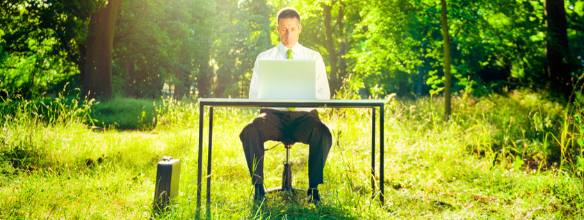 Slimme groene kantoorwanden