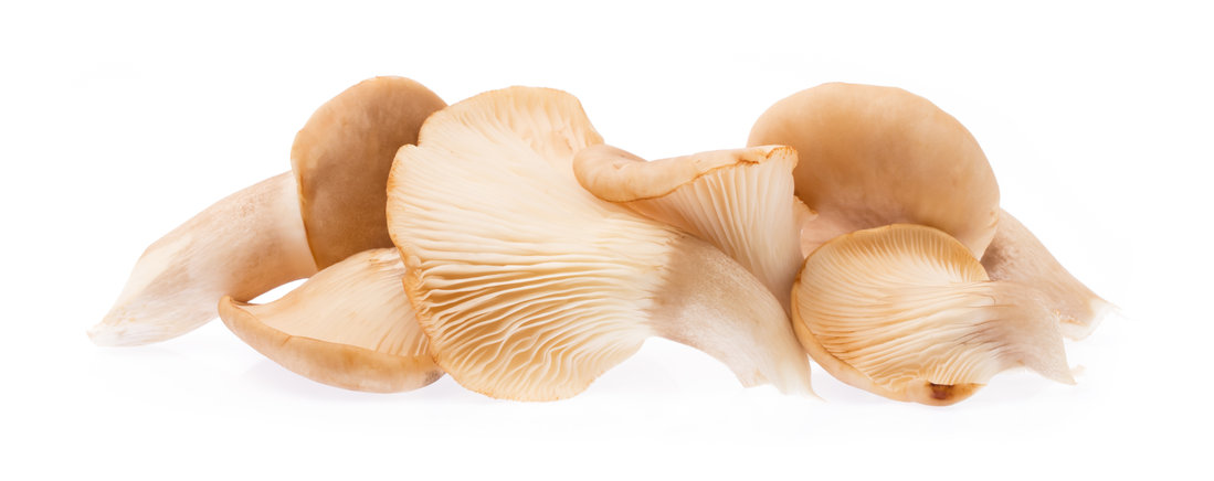 Oesterzwam bij glucose-intolerantie