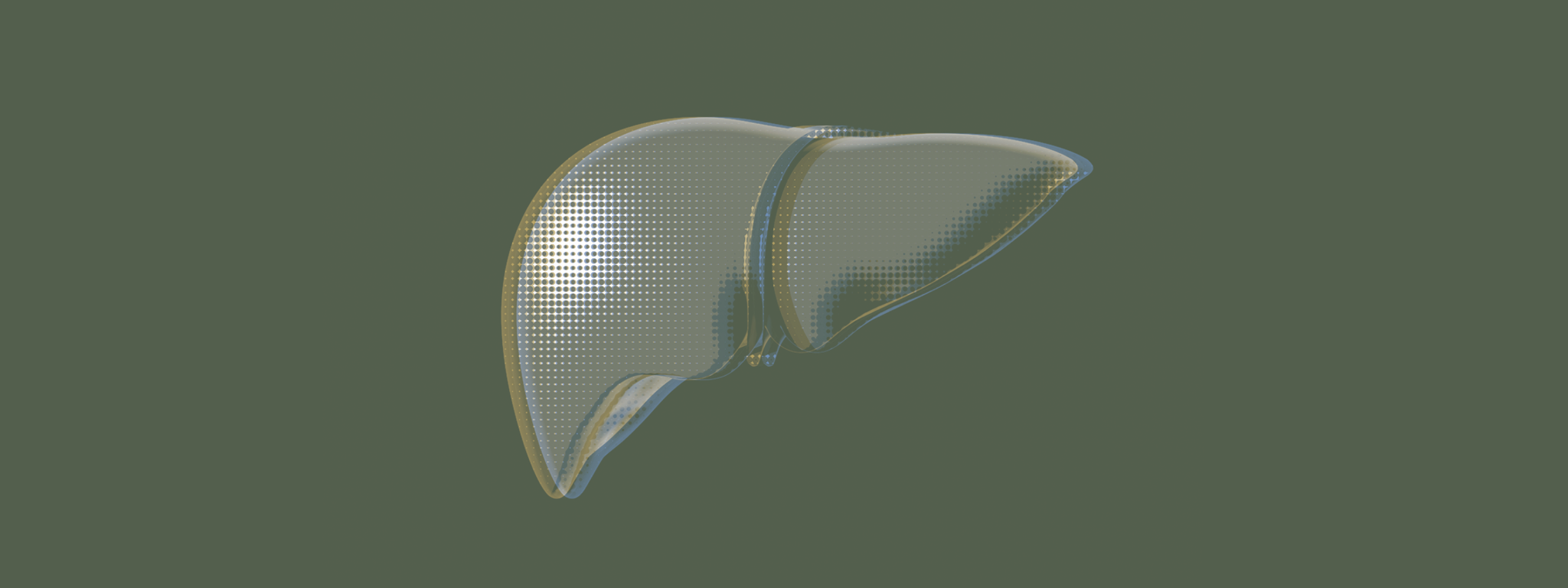 Vitamine E-suppletie gunstig bij leververvettin