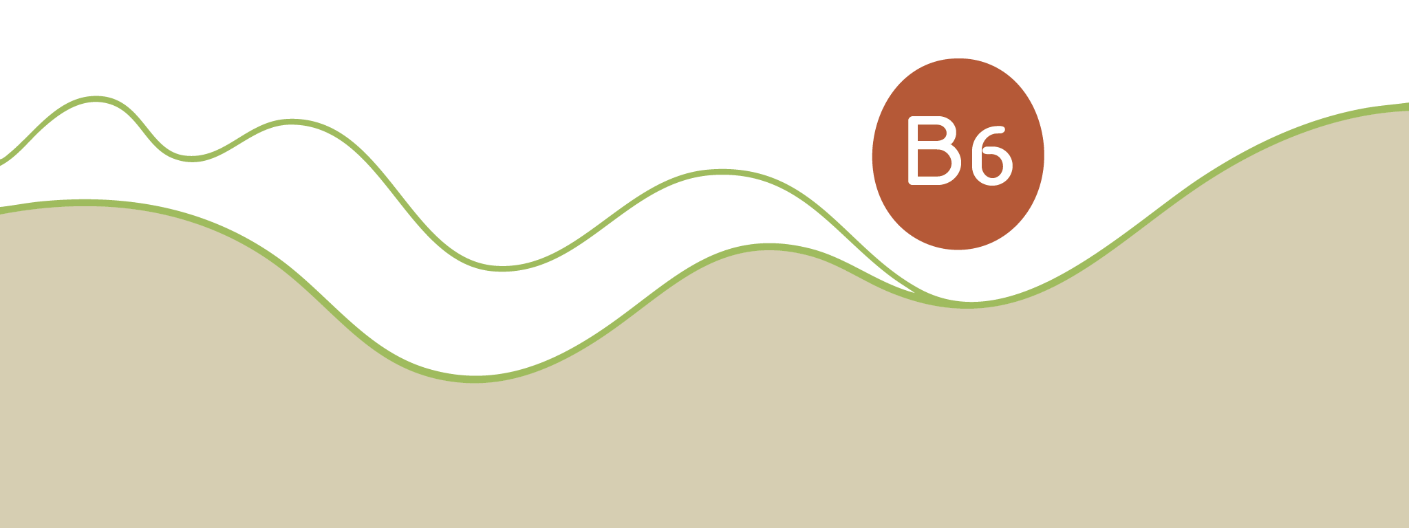 Vitamine B6 anti-emeticum
