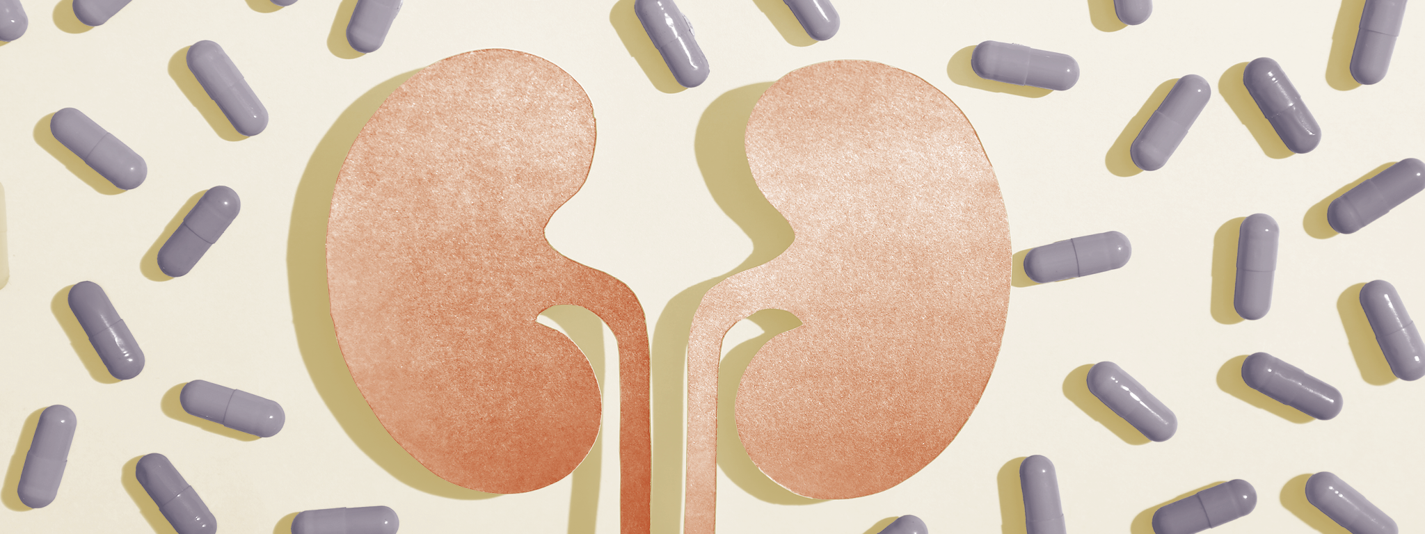 Darmen ontlasten de nieren