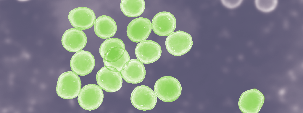 Microbioom en chronische pijn