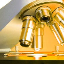 Levend Bloed Analyse (LBA) Levend Bloed Analyse (LBA)