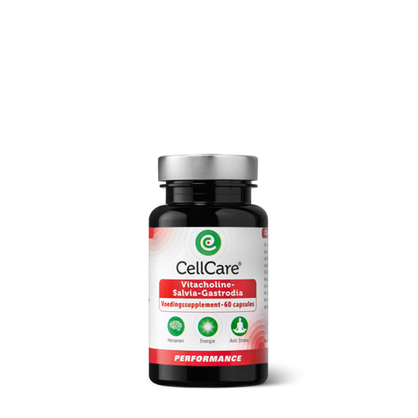 Vitacholine-Salvia-Gastrodia Vitacholine-Salvia-Gastrodia