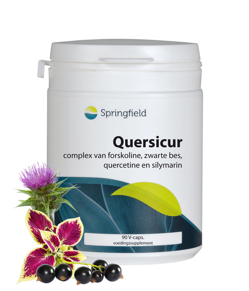 Quersicur complex van forskoline, zwarte bes, quercetine en silymarine