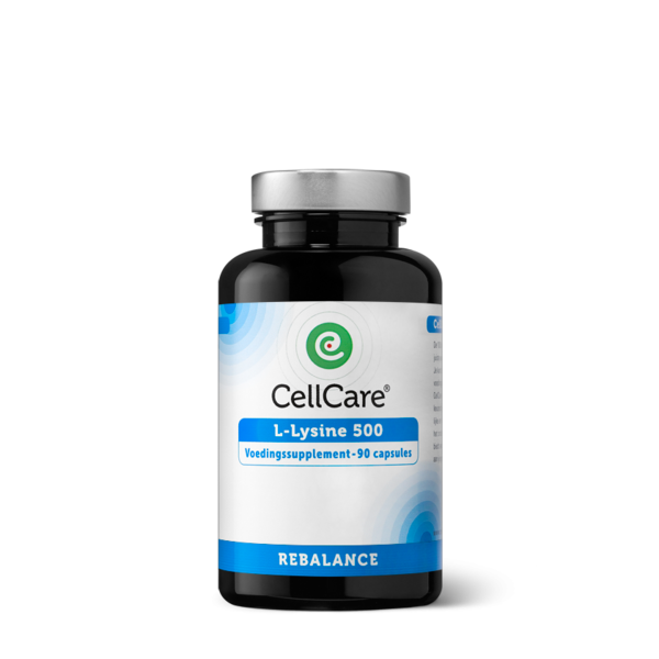 L-Lysine 500 L-Lysine 500