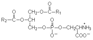 Molecuulstructuur fosfatidylserine