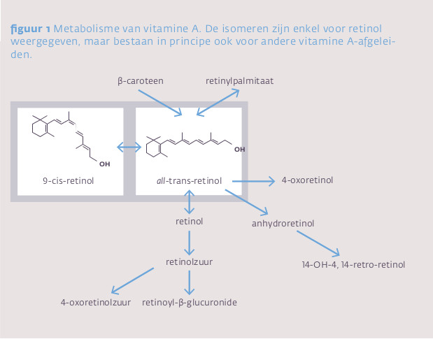 Metabolisme van vitamine A