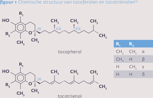 Chemische structuur van tocotriënolen en tocoferolen