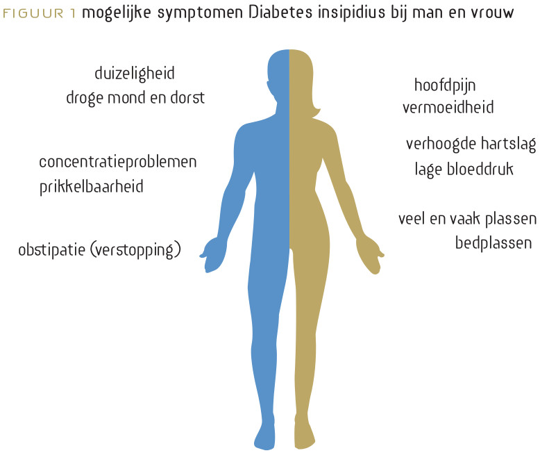 Symptomen van diabetes insipidus