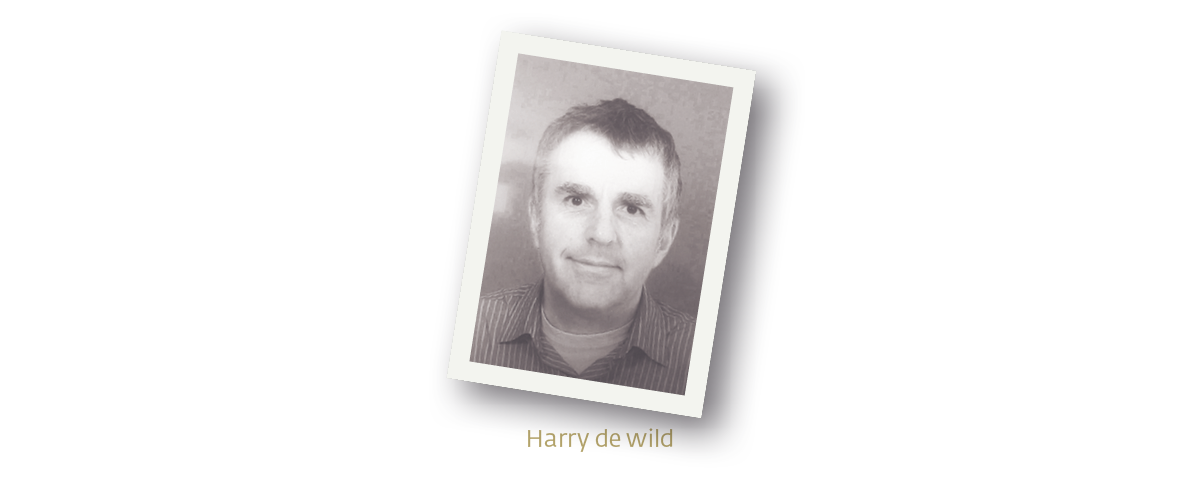 Harry de Wilde