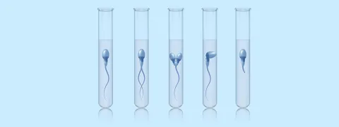 Zink en foliumzuur en DNA-methylatie