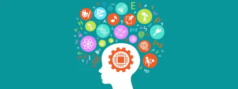 Prenataal choline en cognitie nakomeling