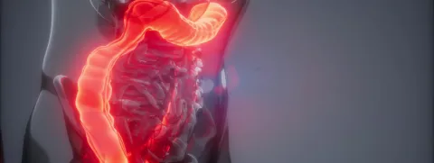 Fosfatidylcholine faalt bij colitis ulcerosa