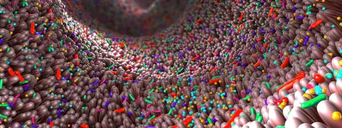 Darmmicrobioom bij autisme