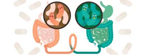 Fecale transplantatie antiaging