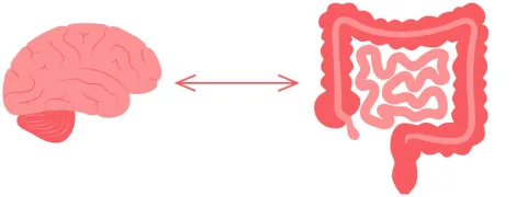 Sleutelen aan de darmmicrobiota