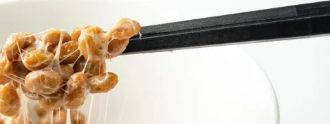 Nattokinase en rodegistrijst cholesterverlagend