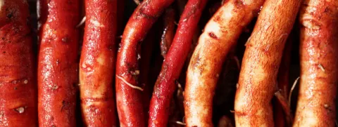 Danshen verbetert metabolisme PCOS