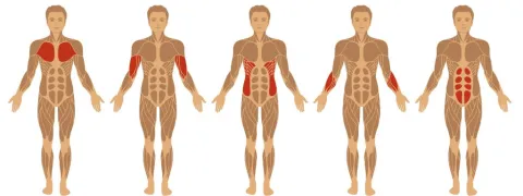 Suppletie helpt tegen leaky gut