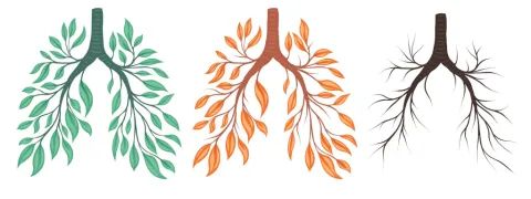 Meer longcapaciteit met D