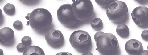 Dagelijkse bessenconsumptie goed voor de darmen