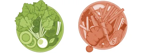 Vegan of omnivoor voor jonge sporters?