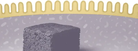 Emulgatoren hebben klein effect op de darm 