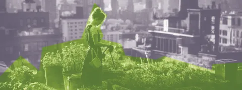 Groene ruimte maakt microbiota rijker