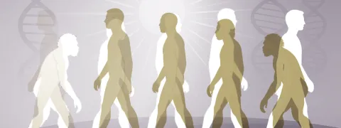 Waarom werd de huid van Europeanen en Aziaten licht van kleur?