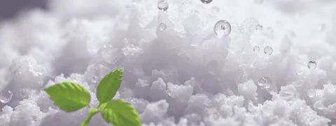 Nitraat in de voeding