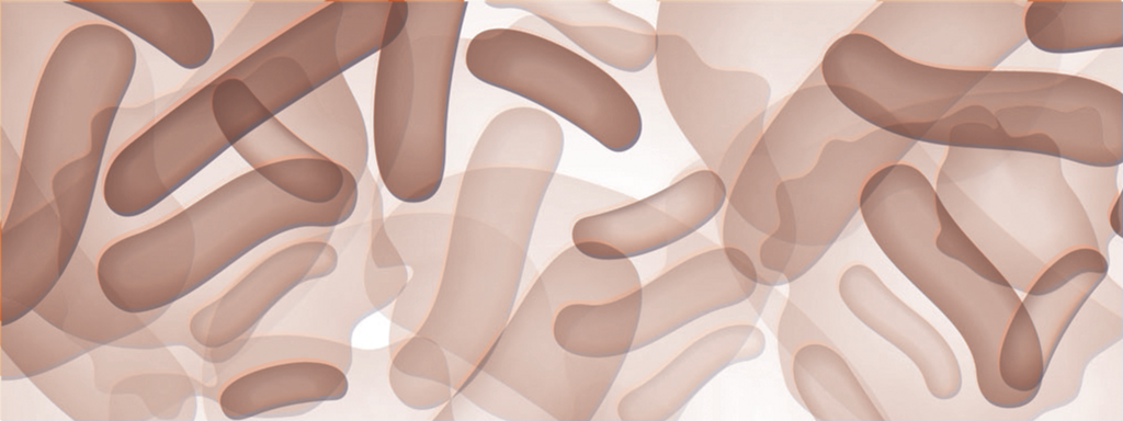 Meeste probiotica-onderzoeken bevestigen gezondheidseffect