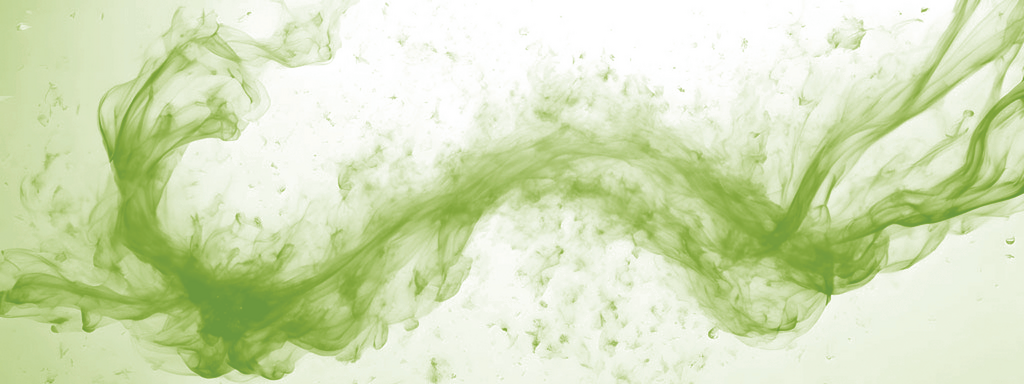 Spirulina