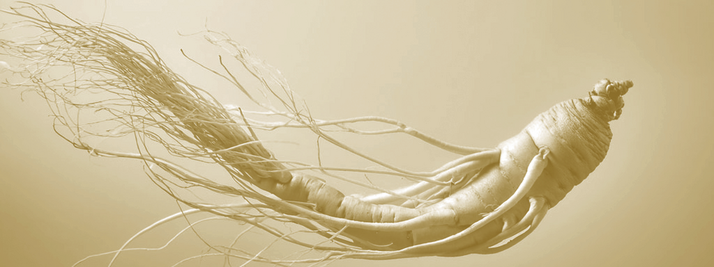 Ginseng