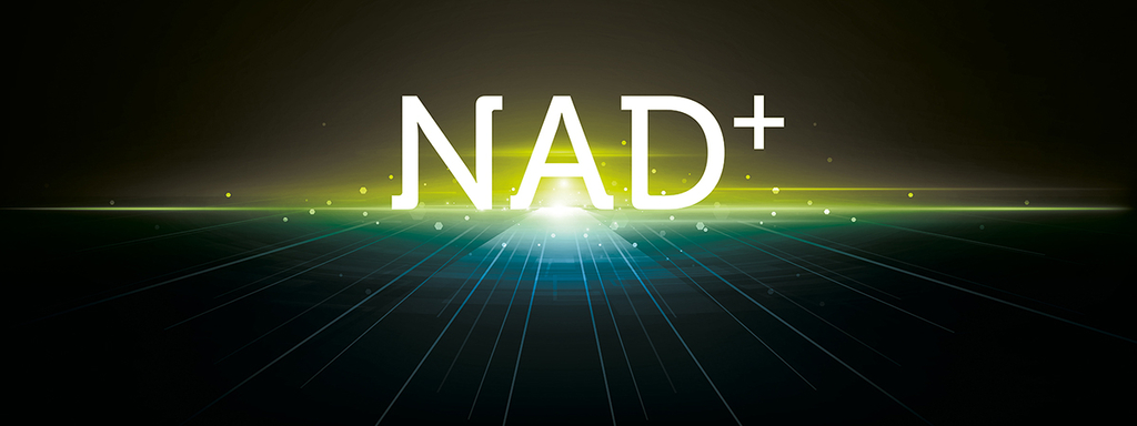 Duo van Nicotinamide en D-ribose - een krachtige NAD+ booster