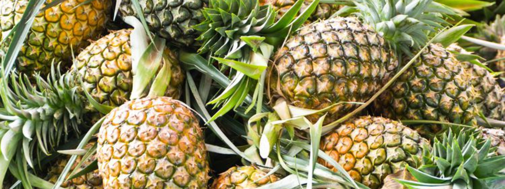 Ananas, bron van bromelaïne Ananas, bron van bromelaïne