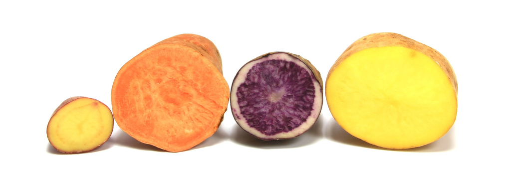 Aardappel, zoete aardappel, vitelotte Aardappel, zoete aardappel, vitelotte
