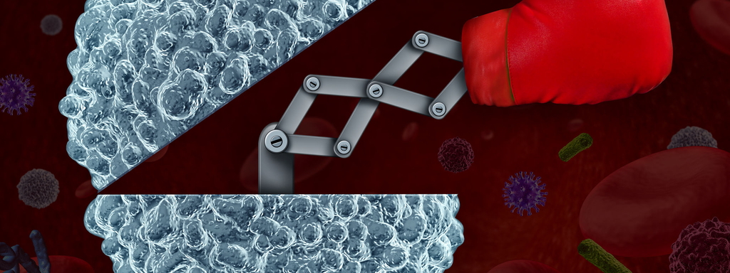 Voedingsstof voor de immuniteit Voedingsstof voor de immuniteit