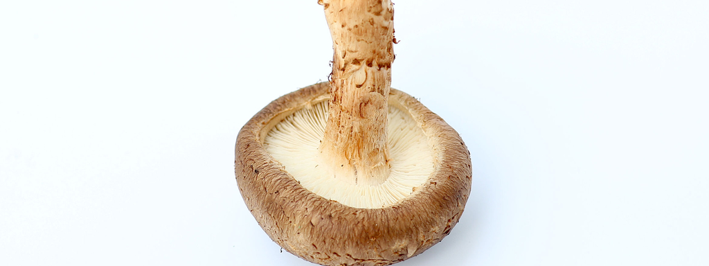 AHCC uit shiitake immuunversterkend AHCC uit shiitake immuunversterkend