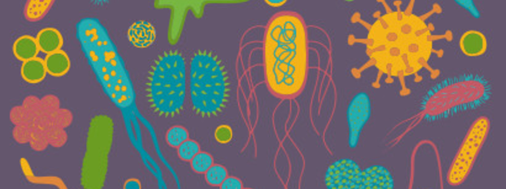 Polyfenolen als prebiotica Polyfenolen als prebiotica