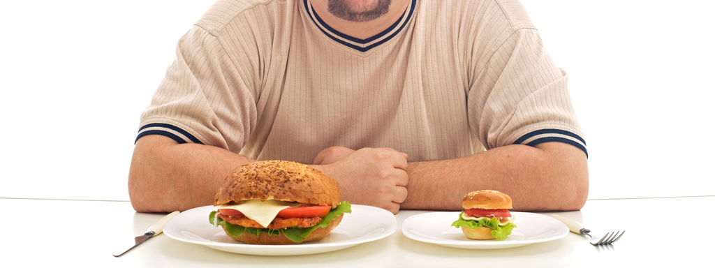 Het debat rond portiegrootte Calorieën en porties