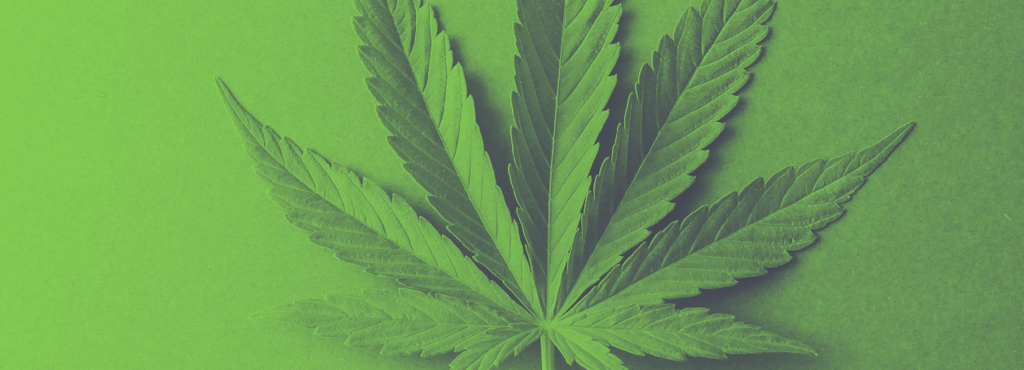 Cannabis als medicijn Cannabis als medicijn