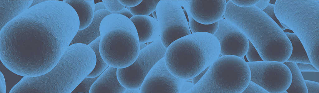 Probiotica voor de longen Probiotica voor de longen