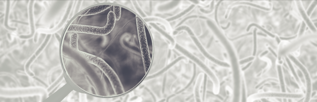 Man-vrouwverschillen in microbioom