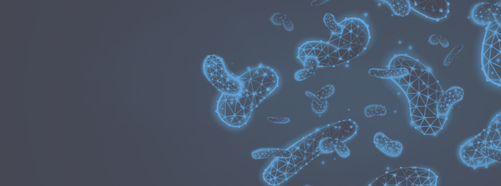 Probiotica en hun invloed op de microbiota Probiotica vs microbiota
