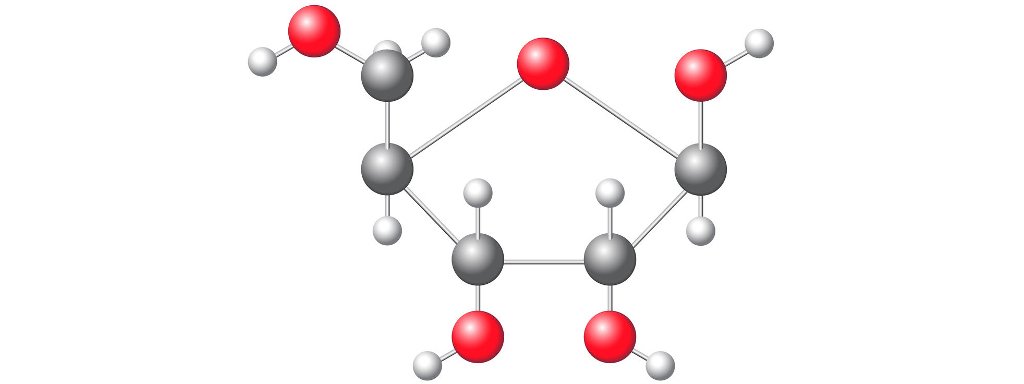 Model van een ribose-molecuul Ribose